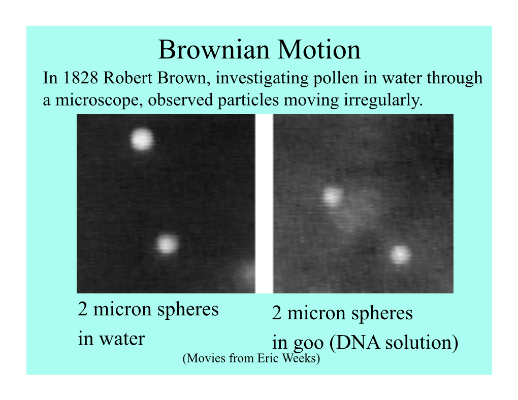 Brownian Motion in 1828 Robert Brown, Investigating Pollen in Water Through a Microscope, Observed Particles Moving Irregularly