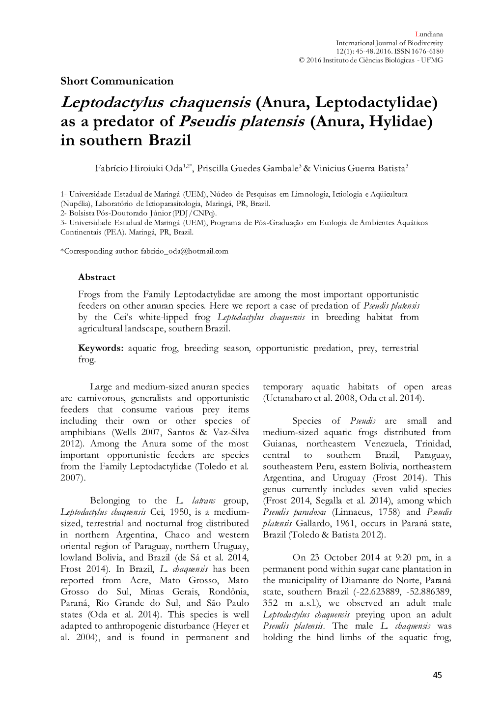 Leptodactylus Chaquensis (Anura, Leptodactylidae) As a Predator of Pseudis Platensis (Anura, Hylidae) in Southern Brazil