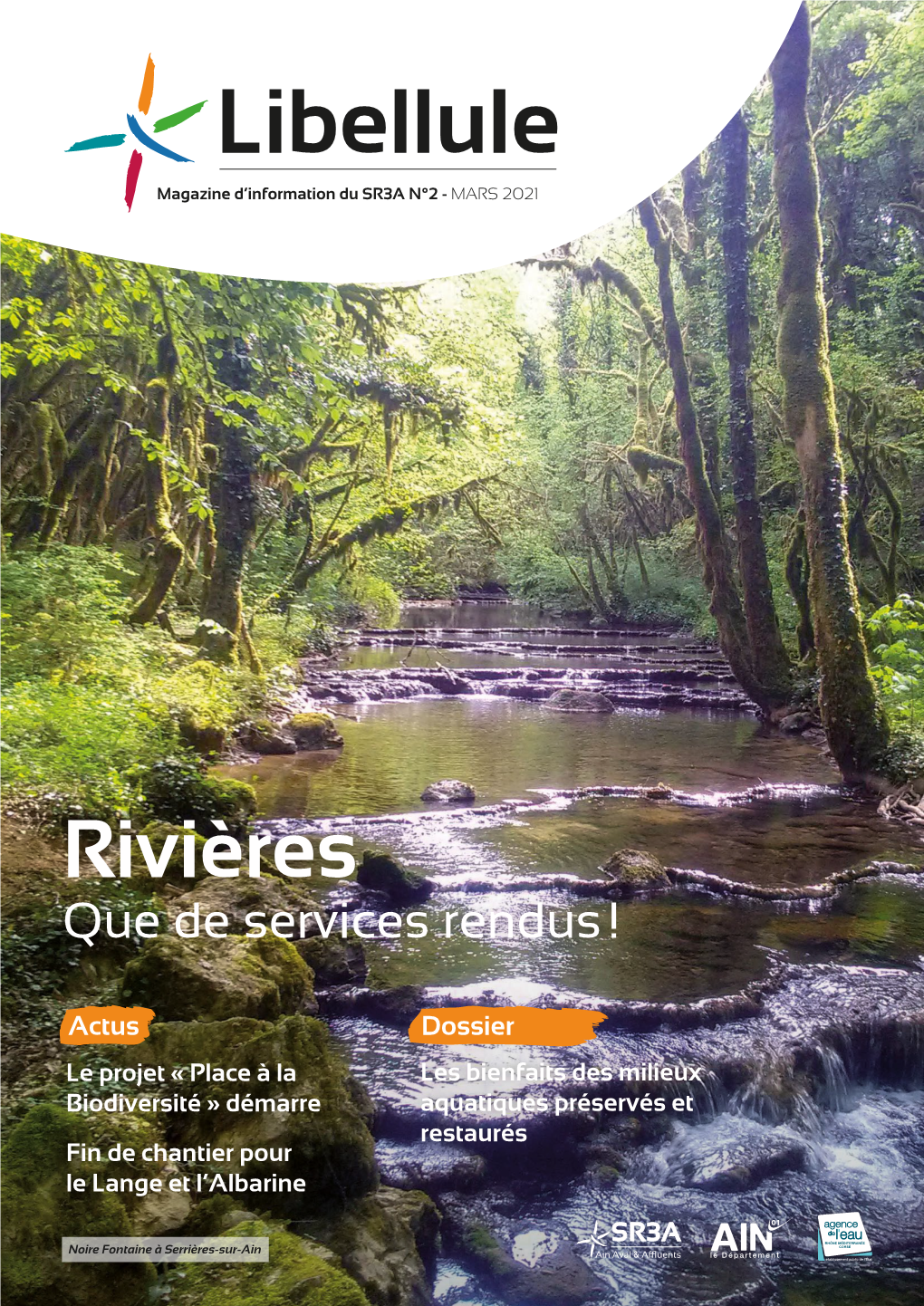 Libellule Magazine D’Information Du SR3A N°2 - MARS 2021