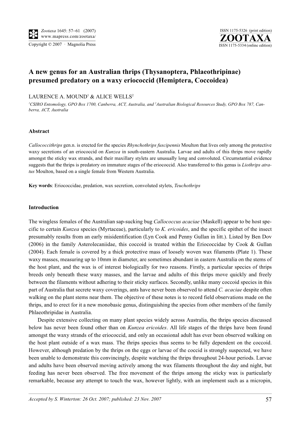 Zootaxa,A New Genus for an Australian Thrips