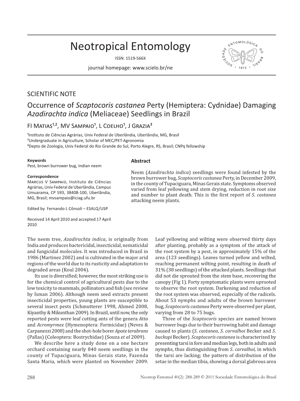 Occurrence of Scaptocoris Castanea Perty (Hemiptera: Cydnidae