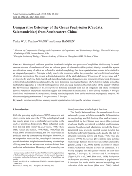 Comparative Osteology of the Genus Pachytriton (Caudata: Salamandridae) from Southeastern China