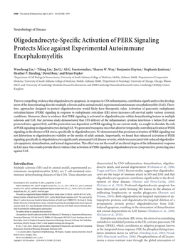 Oligodendrocyte-Specific Activation of PERK Signaling Protects Mice Against Experimental Autoimmune Encephalomyelitis