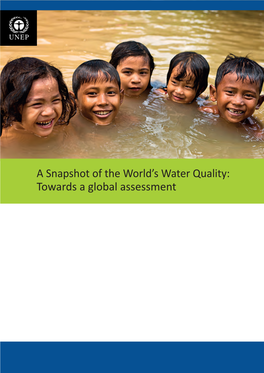 A Snapshot of the World's Water Quality: Towards a Global Assessment