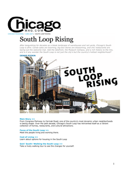 SOUTH LOOP RISING South Loop Rising After Languishing for Decades As a Bleak Landscape of Warehouses and Rail Yards, Chicago's South Loop Is Afire