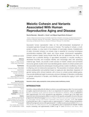 Meiotic Cohesin and Variants Associated with Human Reproductive Aging and Disease