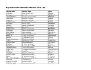Cypress Bend Community Preserve Plant List