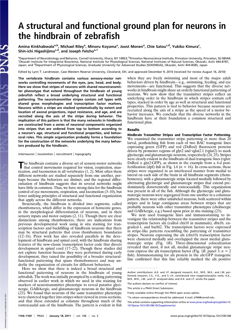 A Structural and Functional Ground Plan for Neurons in the Hindbrain of Zebraﬁsh