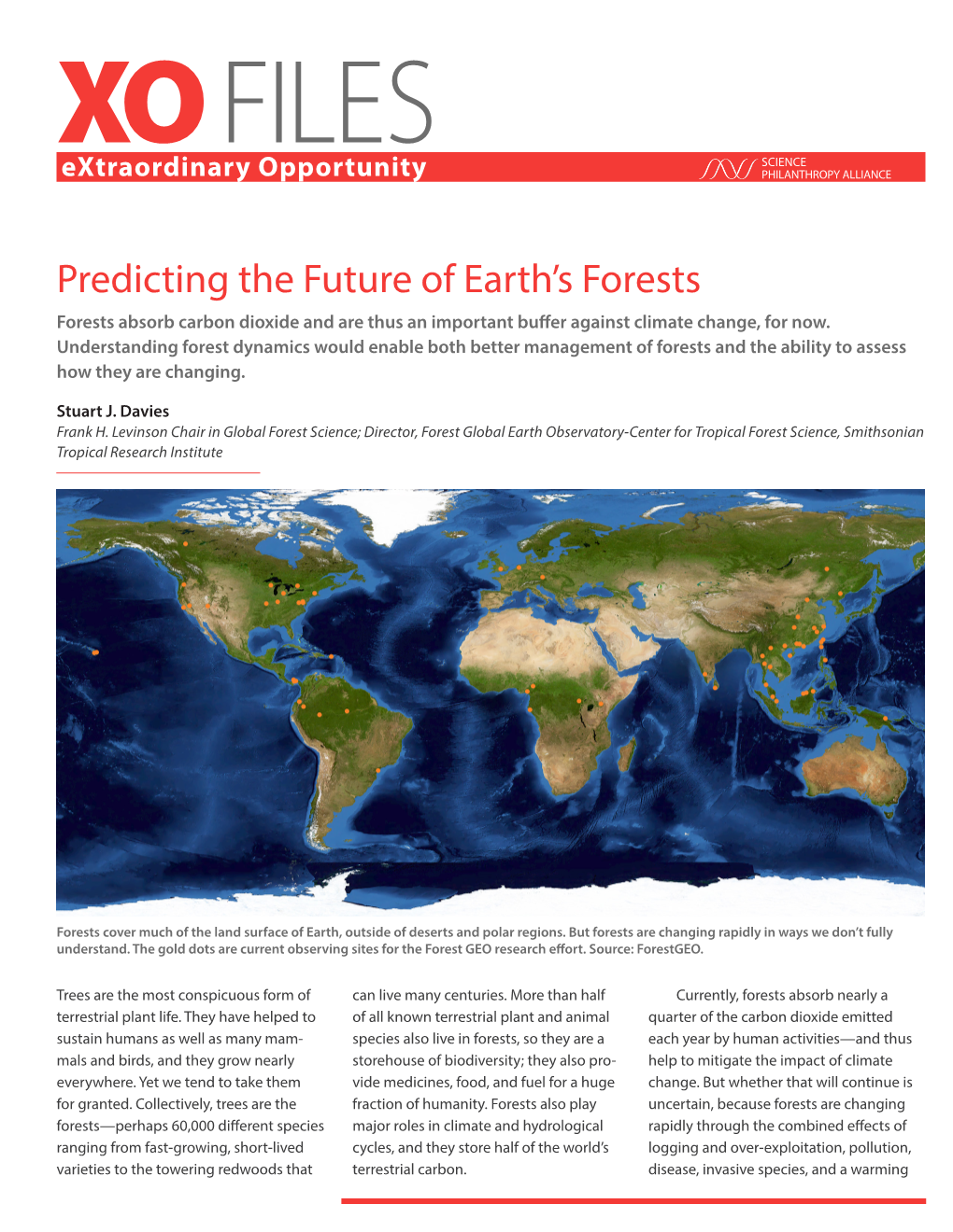 Predicting the Future of Earth's Forests