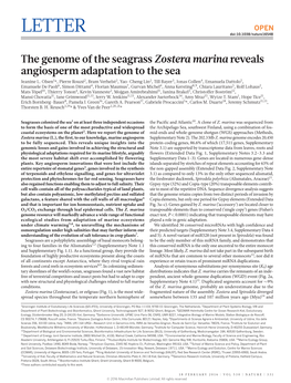 The Genome of the Seagrass Zostera Marina Reveals Angiosperm Adaptation to the Sea Jeanine L