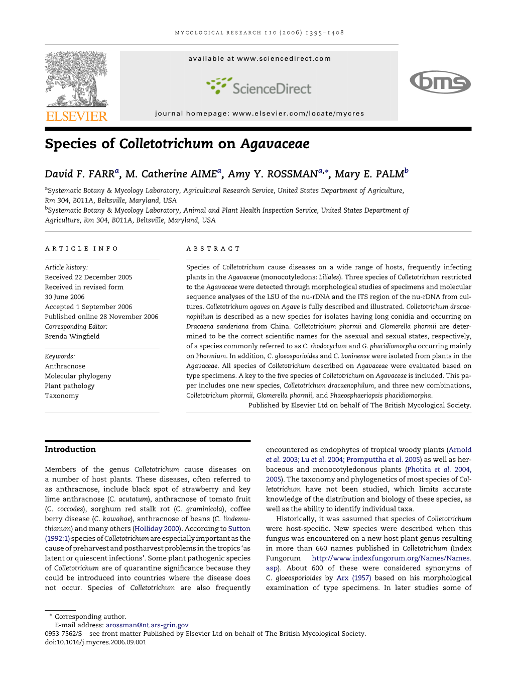 Species of Colletotrichum on Agavaceae