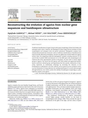 Reconstructing the Evolution of Agarics from Nuclear Gene Sequences and Basidiospore Ultrastructure