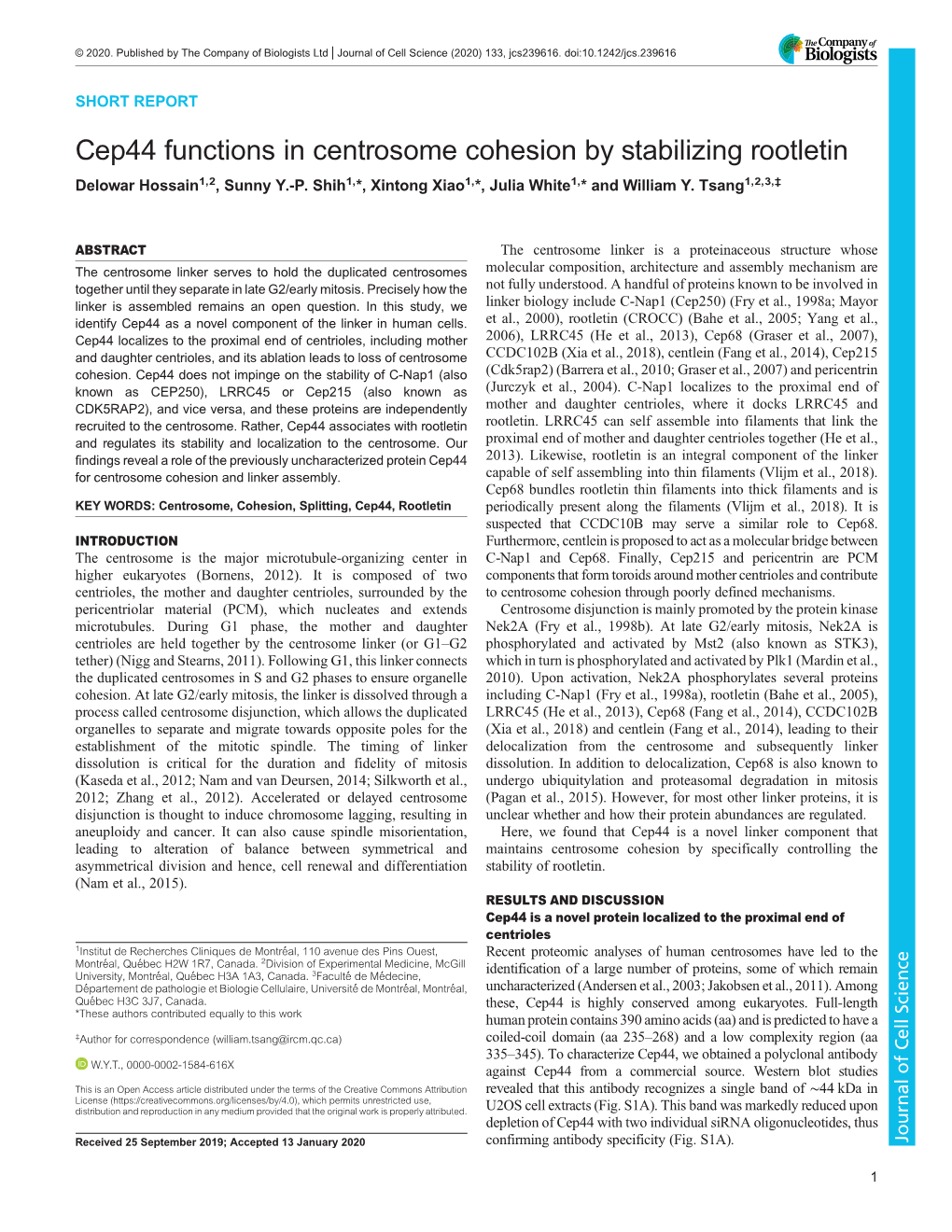 Cep44 Functions in Centrosome Cohesion by Stabilizing Rootletin Delowar Hossain1,2, Sunny Y.-P