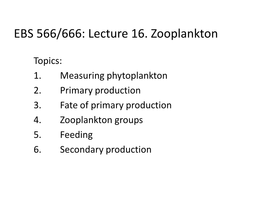 Lecture 15. Grazing and the Microbial Loop