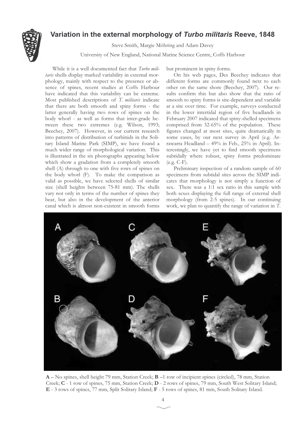 Variation in the External Morphology of Turbo Militaris Reeve, 1848