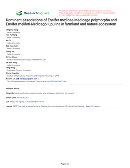 Dominant Associations of Ensifer Medicae-Medicage Polymorpha and Ensifer Meliloti-Medicago Lupulina in Farmland and Natural Ecosystem