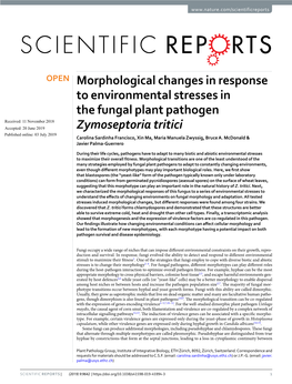 Morphological Changes in Response to Environmental Stresses In