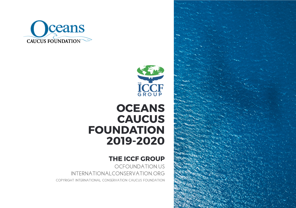 Oceans Caucus Foundation 2019-2020