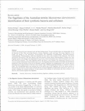 The Flagellates of the Australian Termite Mastotermes Darwiniensis: Identification of Their Symbiotic Bacteria and Cellulases
