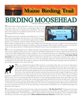 Birding Moosehead.Indd