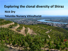 Exploring the Clonal Diversity of Shiraz Nick Dry Yalumba Nursery Viticulturist Exploring the Clonal Diversity of Shiraz