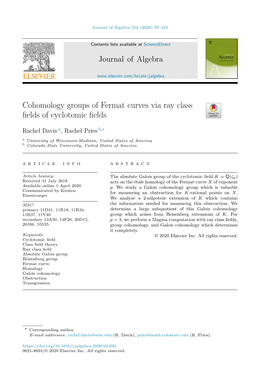 Cohomology Groups of Fermat Curves Via Ray Class Fields of Cyclotomic Fields