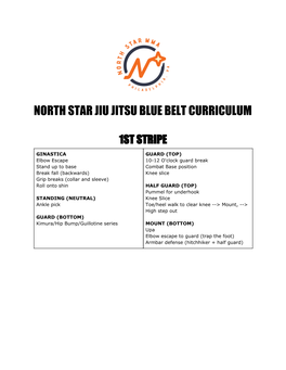 North Star Jiu Jitsu Blue Belt Curriculum