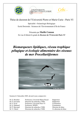 Biomarqueurs Lipidiques, Réseau Trophique Pélagique Et Écologie Alimentaire Des Oiseaux De Mer Procellariiformes