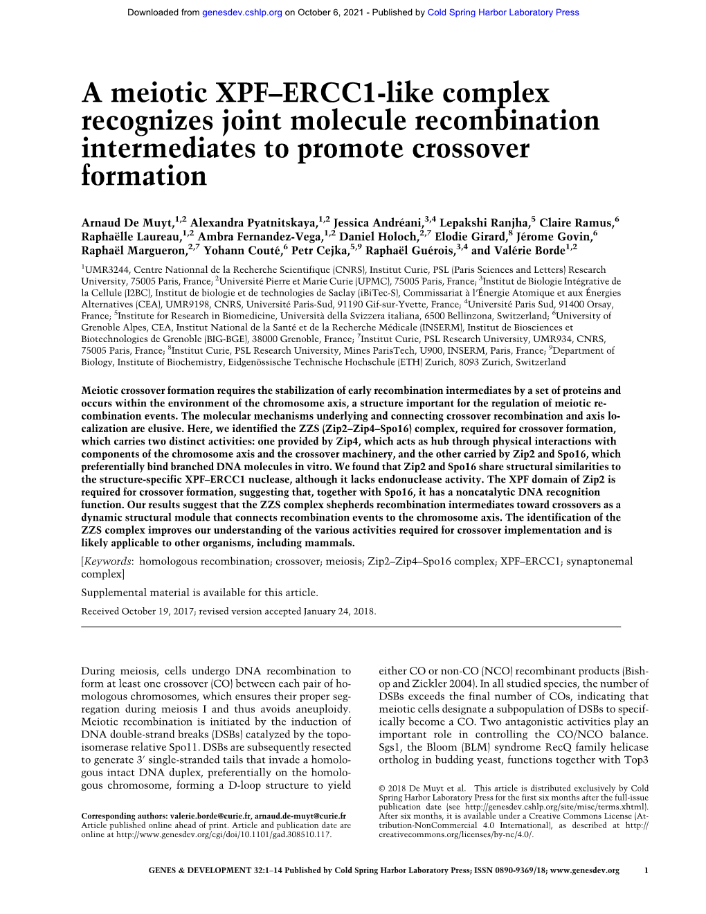 A Meiotic XPF–ERCC1-Like Complex Recognizes Joint Molecule Recombination Intermediates to Promote Crossover Formation