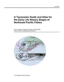 Ichthyoplankton Information System (IIS) Report