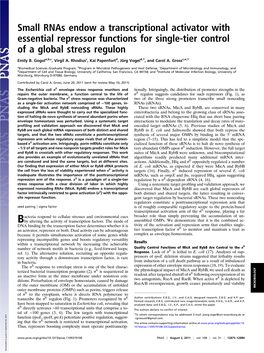 Small Rnas Endow a Transcriptional Activator with Essential Repressor Functions for Single-Tier Control of a Global Stress Regulon