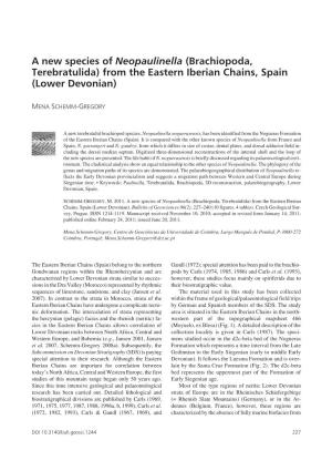 A New Species of Neopaulinella (Brachiopoda, Terebratulida) from the Eastern Iberian Chains, Spain (Lower Devonian)