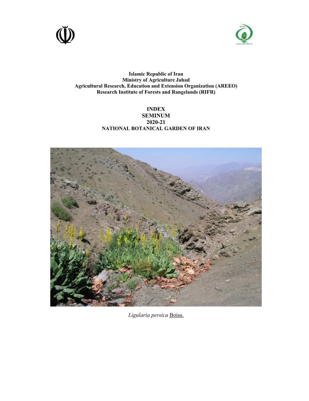INDEX SEMINUM 2020-21 Ligularia Persica Boiss