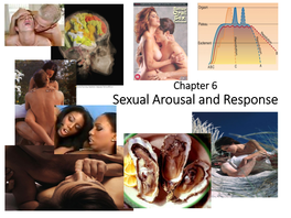 Sexual Arousal and Response Pop Quiz: Which of the Following Is MOST Responsible for Sexual Arousal?