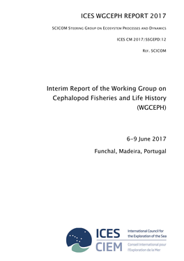 Report of the Report of the Working Group on Cephalopod