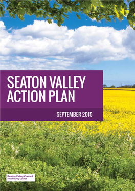 Seaton Valley Action Plan