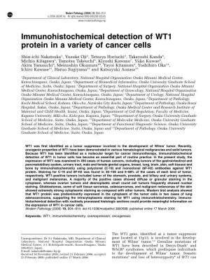 Immunohistochemical Detection of WT1 Protein in a Variety of Cancer Cells