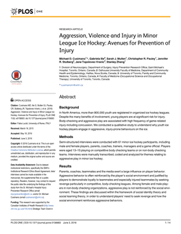 Aggression, Violence and Injury in Minor League Ice Hockey: Avenues for Prevention of Injury