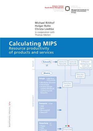 Calculating MIPS. Resource Productivity of Products and Services