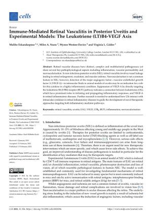 Immune-Mediated Retinal Vasculitis in Posterior Uveitis and Experimental Models: the Leukotriene (LT)B4-VEGF Axis