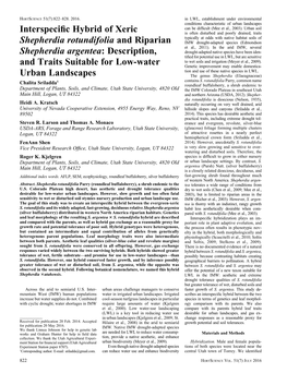 Interspecific Hybrid of Xeric Shepherdia Rotundifolia And