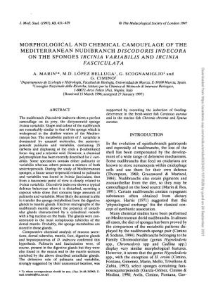 Morphological and Chemical Camouflage of The