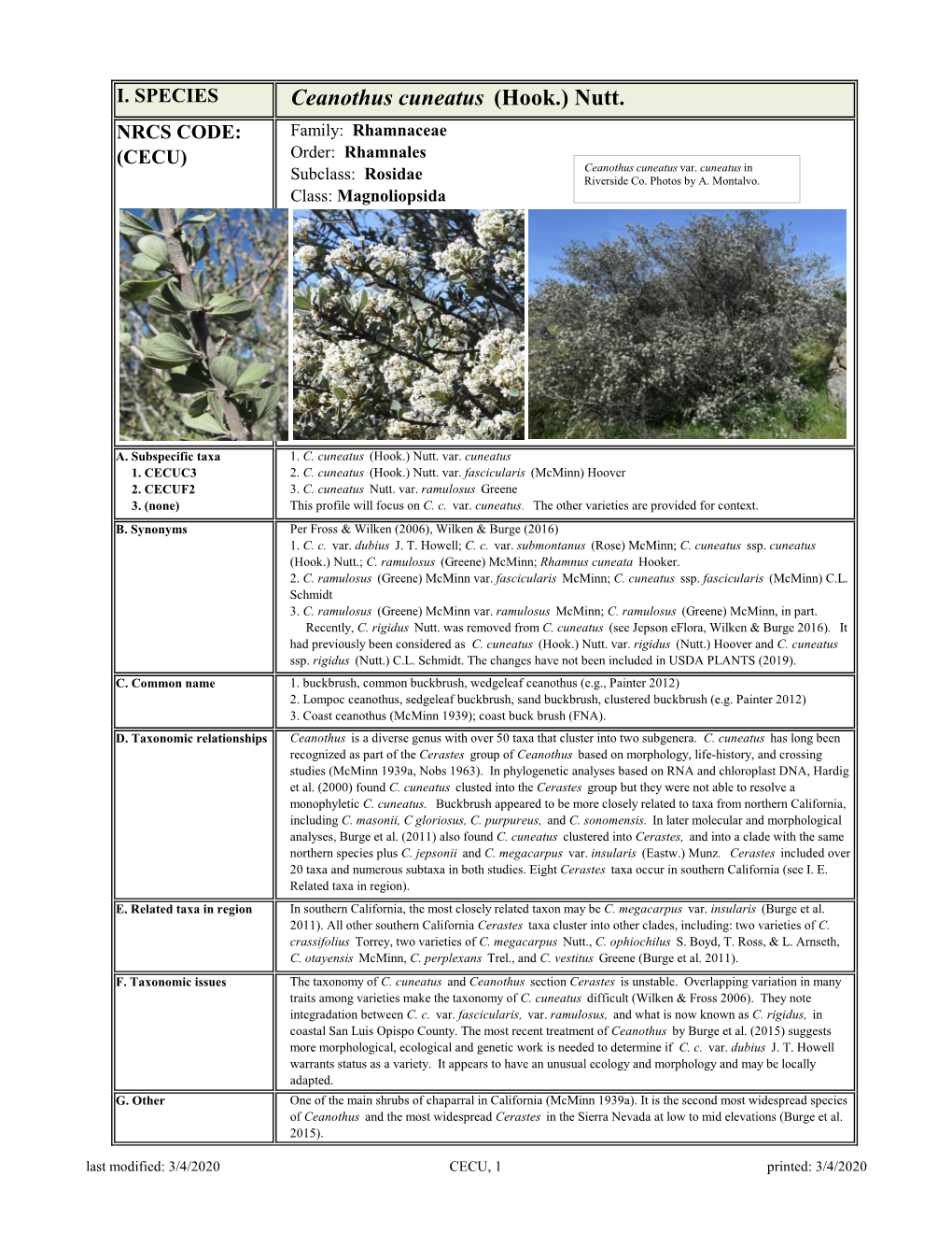 Ceanothus Cuneatus (Hook.) Nutt