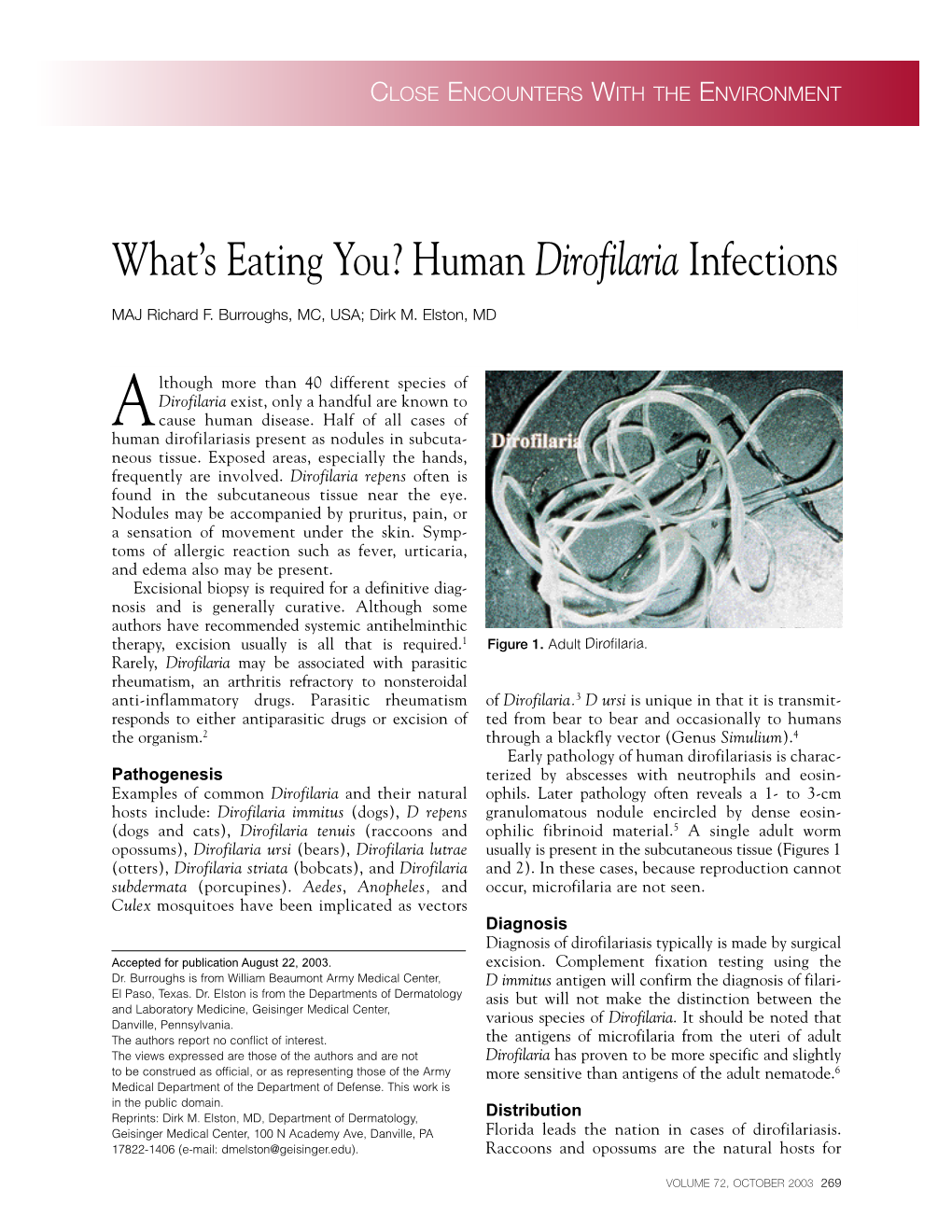 Human Dirofilaria Infections