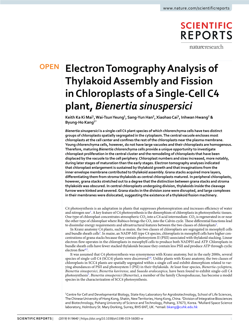 Electron Tomography Analysis of Thylakoid Assembly and Fission In