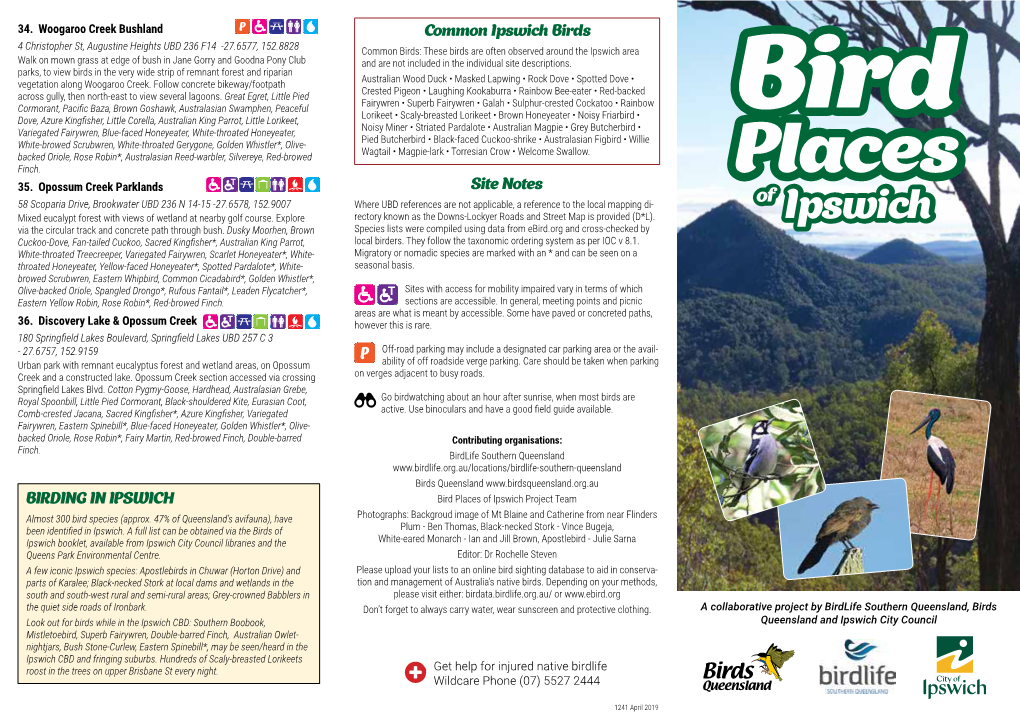 Bird Places of Ipswich Project Team Almost 300 Bird Species (Approx