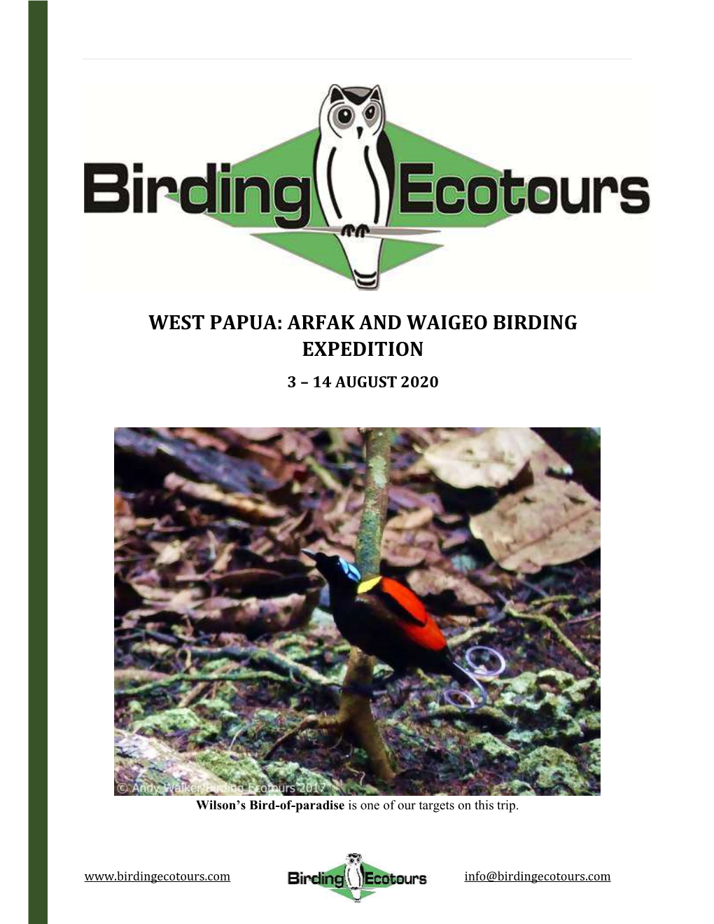 West Papua: Arfak and Waigeo Birding Expedition 3 – 14 August 2020