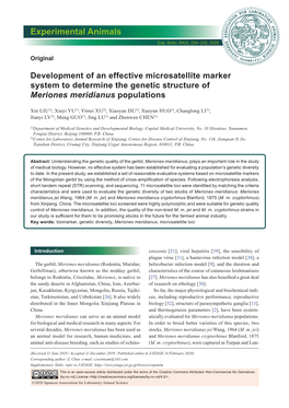 Development of an Effective Microsatellite Marker System to Determine the Genetic Structure of Meriones Meridianus Populations