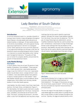 Lady Beetles of South Dakota