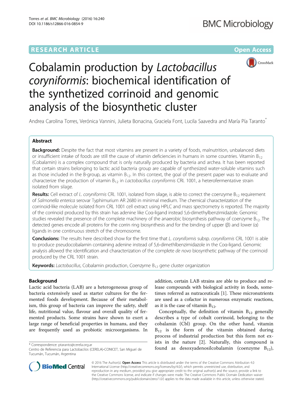 Cobalamin Production by Lactobacillus Coryniformis